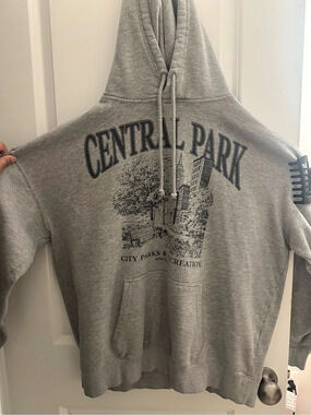Central Park Graphic Hoodie in Gray